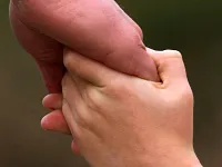 Festhalten — Bild aus lizenzfreier Bilderdatenbank.
Zur Verfügung gestellt von www.kirchenweb.ch -
Internet- und Kommunikationsplattform für Kirchen, Kirchgemeinden, Pfarreien und kirchliche Organisationen.